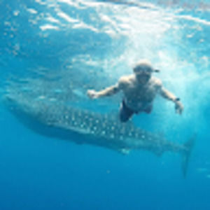 Meet your Posher, Ray anthony